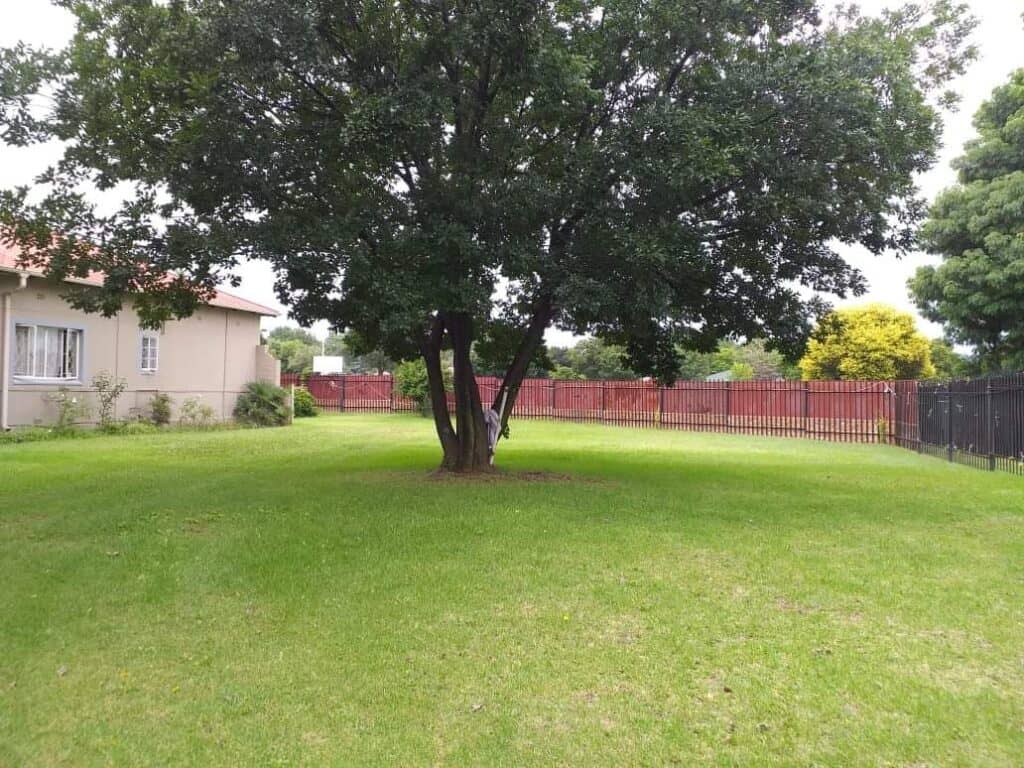 Alika Guest House garden, Benoni.