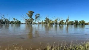 Homes submerged by Vaal River floods in Lekwa-Teemane Municipality, leaving families displaced and in urgent need of assistance.