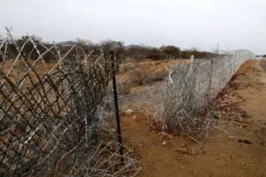 Challenges of undocumented migrant influx in South Africa; authorities struggle with border control and management.
