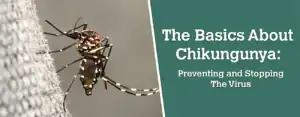 "Chikungunya virus outbreak in China sparks global health alerts with prevention measures advised."