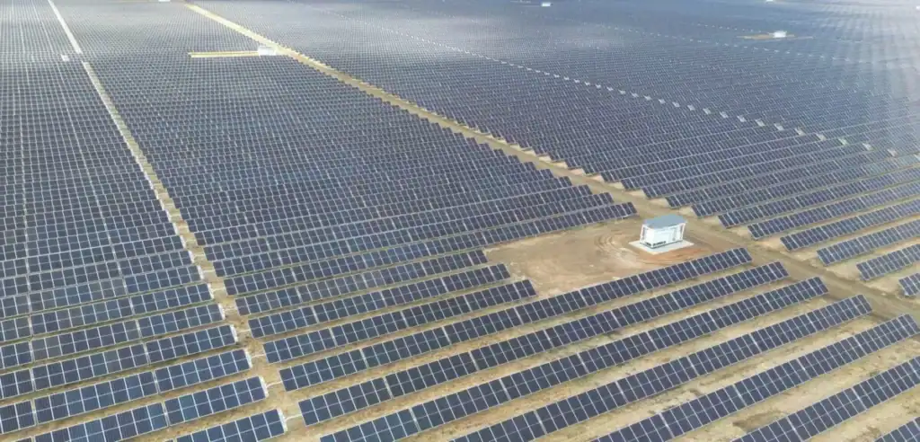 Free State mielie fields transformed into Springbok solar project powering major South African companies.