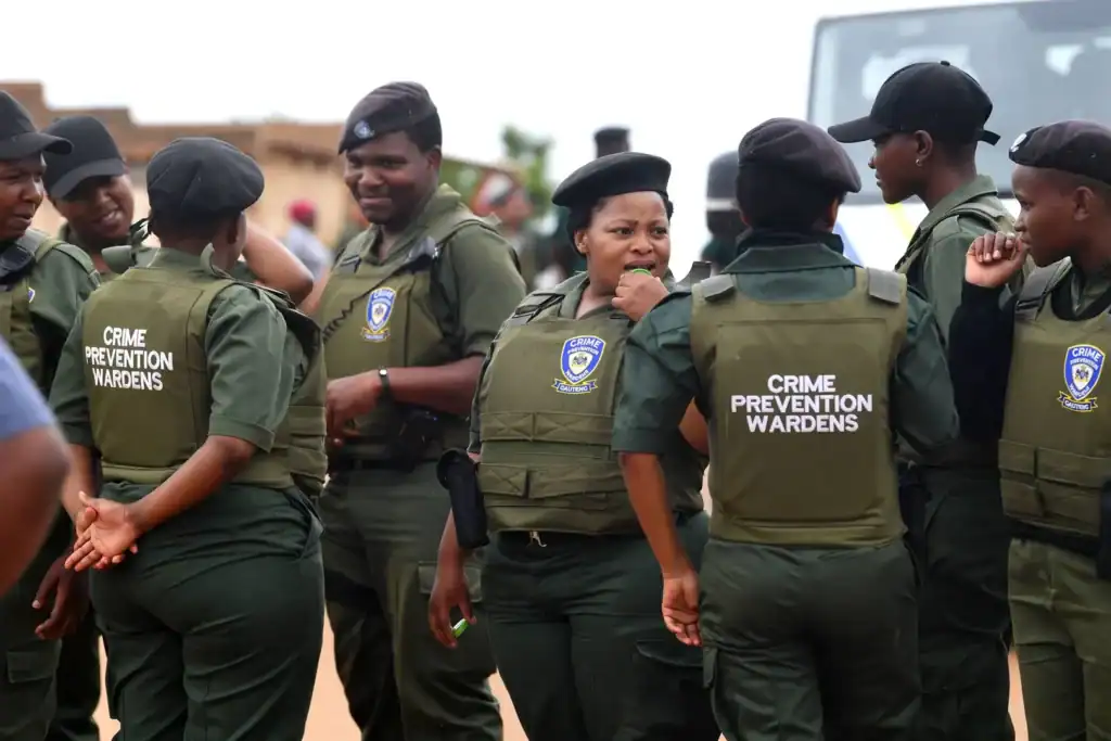 Mkhwanazi declares AmaPanyaza wardens illegal during Parliament hearing on South African policing laws.