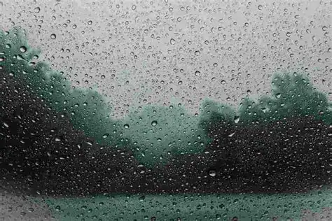 Weekend weather: Rain and cold front expected across South Africa Weekend weather forecast shows rain, cold front, and thunderstorms expected across South Africa.