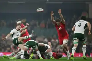 Sacha Feinberg-Mngomezulu dives to score as Springboks demolish Wales 73-0 in Cardiff.