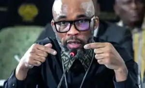 Vusimuzi Cat Matlala testifies against Bheki Cele at the parliamentary inquiry in Pretoria.