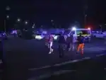 Police secure the site of the Bondi Beach terrorist attack on Jewish families at Archer Park.