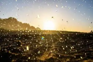 Friday’s weather forecast for South Africa showing thundershowers in KZN and heat in the Northern Cape.
