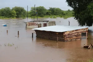 Flood damage in Limpopo after severe weather led South Africa to declare a national disaster