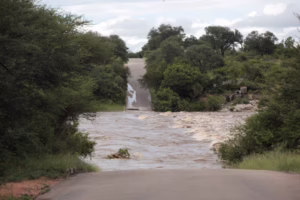South Africa's Kruger National Park flooded after heavy rains cause rivers to overflow and roads to close