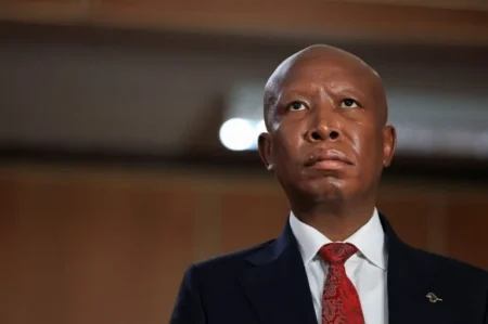 Julius Malema appeal against prison sentence in firearm case South Africa court ruling update