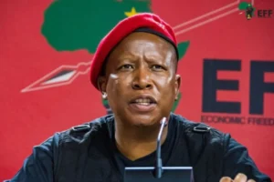 Julius Malema demands R1 million and an apology from Ngizwe Mchunu over drug claims.