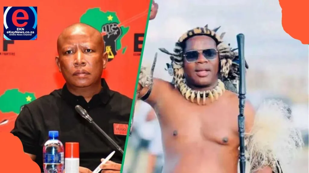 Ngizwe Mchunu responds to Julius Malema's R1m defamation lawsuit, calling him a dead snake.