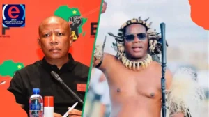 Ngizwe Mchunu responds to Julius Malema's R1m defamation lawsuit, calling him a dead snake.