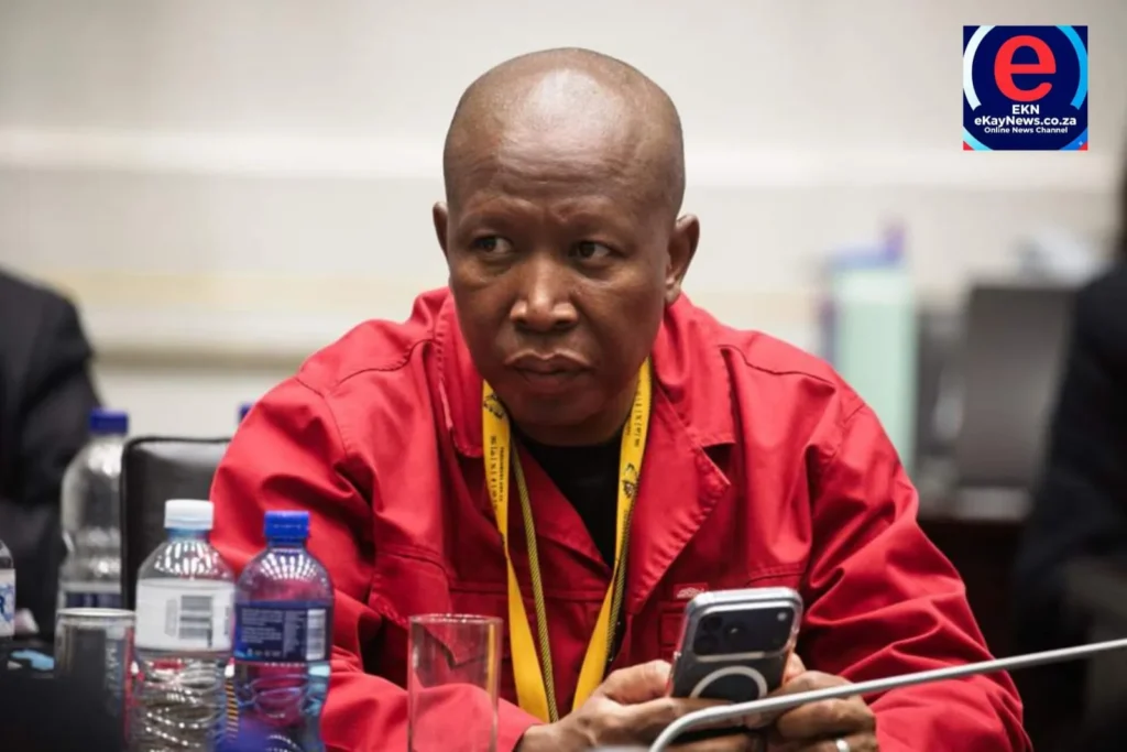 Julius Malema calls for Thoko Didiza's removal over the Phala Phala impeachment controversy