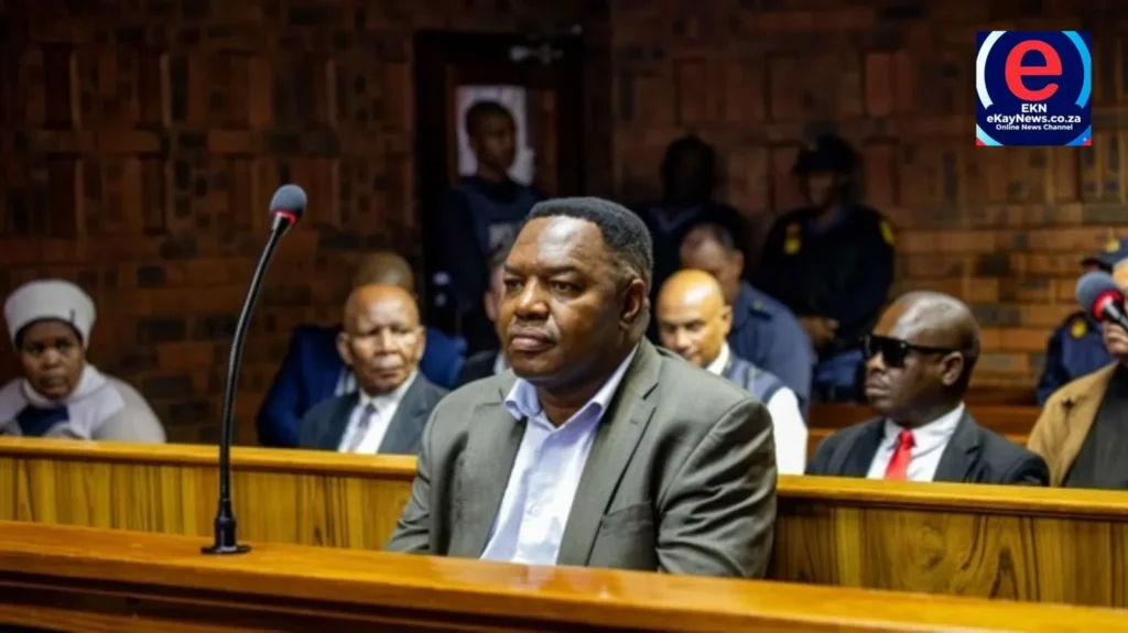 Suspended police commissioner Fannie Masemola appears in court over the Medicare24 Tshwane tender case.